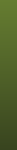 bg_page.png